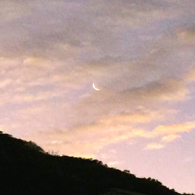 Crescent moon -- 6% in early morning